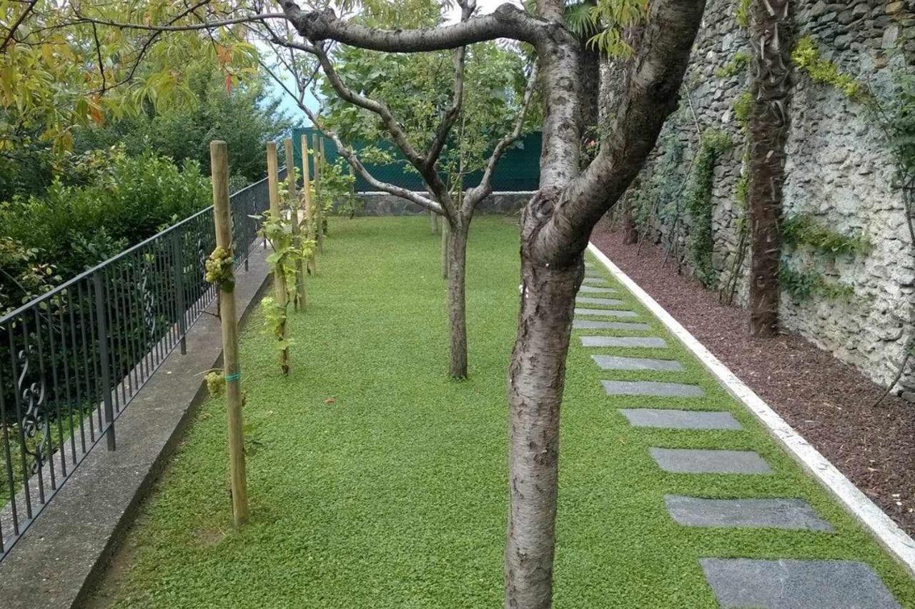 Domus Cusiana Complesso Vista Lago E Piscina Miasino Bagian luar foto